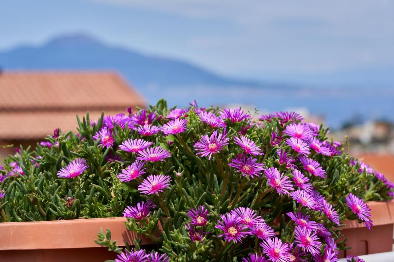 Sine Tempore Lägenhet Sorrento Exteriör bild